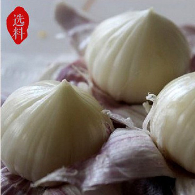 Wholesale fresh white garlic for export