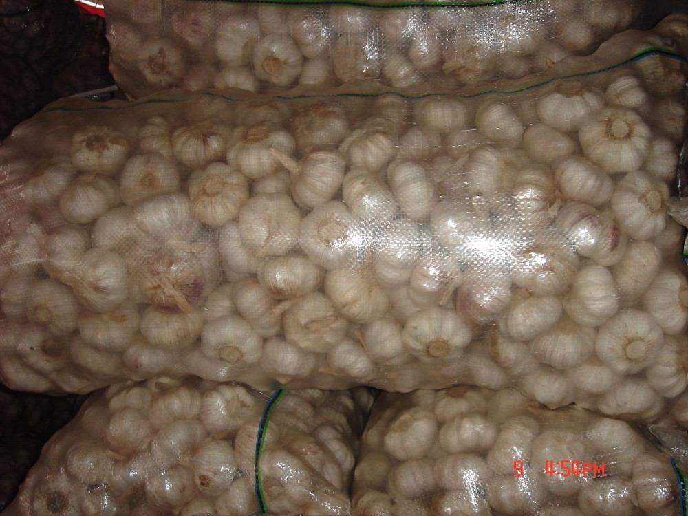 YUYUAN brand hot sail fresh garlic garlic for the international market
