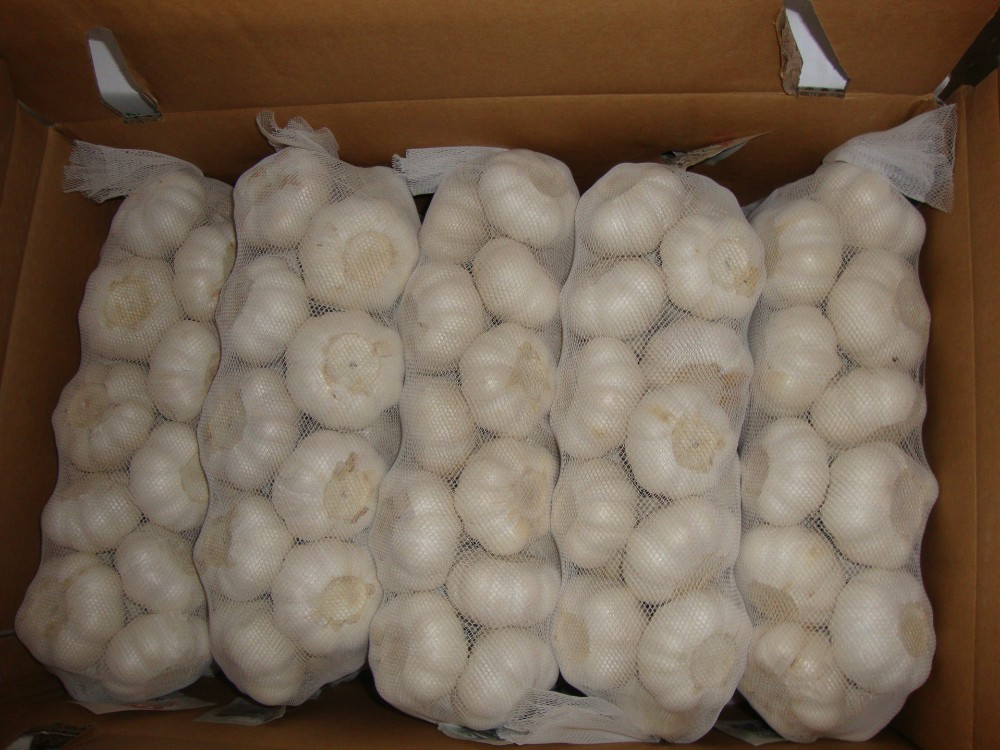 YUYUAN brand hot sail fresh garlic garlic manufacturers china