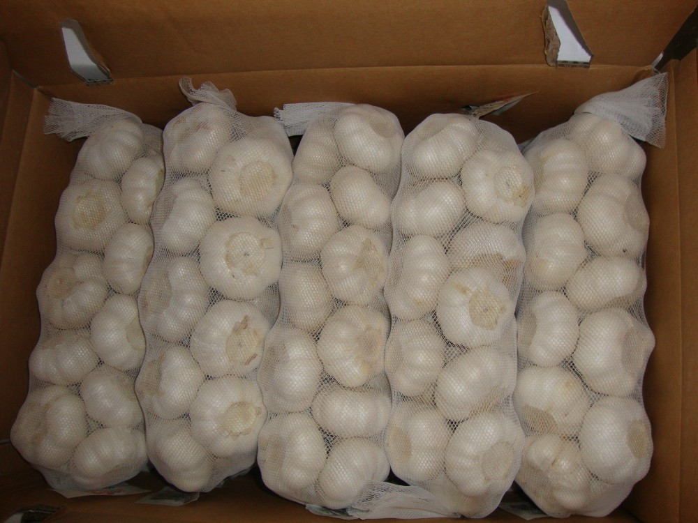 YUYUAN brand hot sail fresh garlic garlic packing