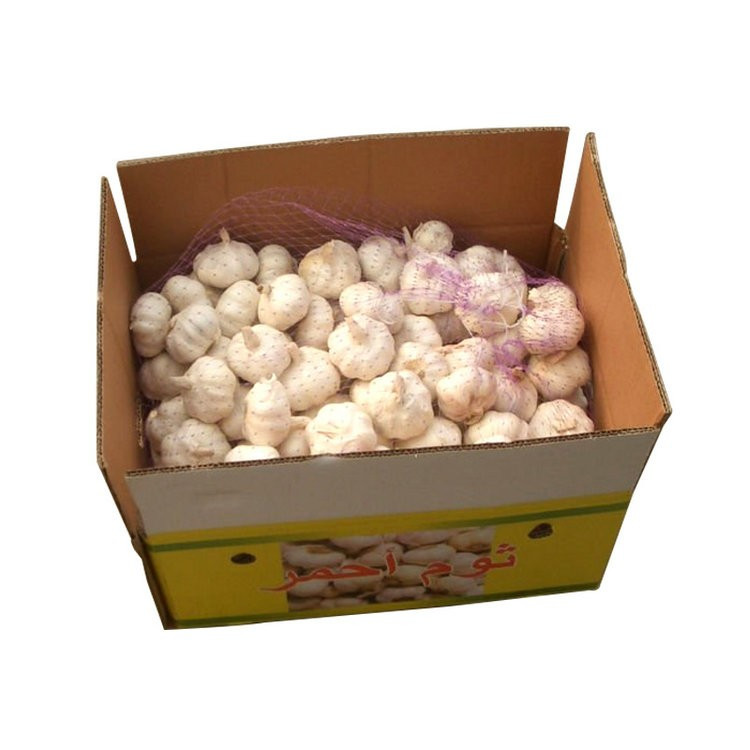 Professional supplier of new harvest normal white garlic with high quality