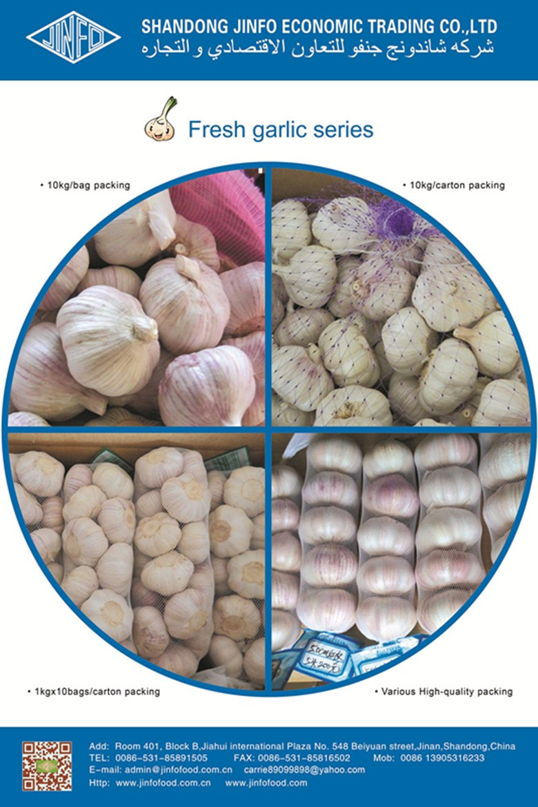 1kg /bag white garlic