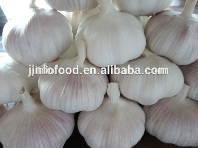 2017 new crop garlic