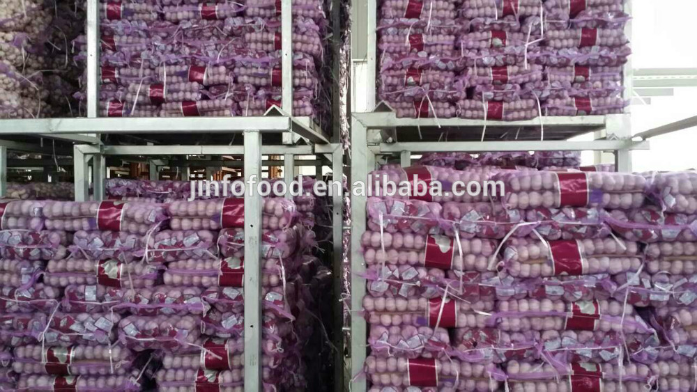 2017 new crop garlic