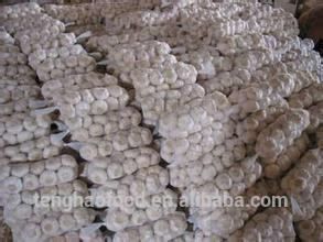 New Crop 5cm-6.5cm 20kg mesh bag pure white and normal white fresh garlic