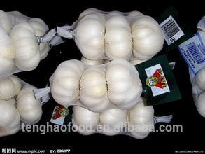 New Crop 5cm-6.5cm 20kg mesh bag pure white and normal white fresh garlic