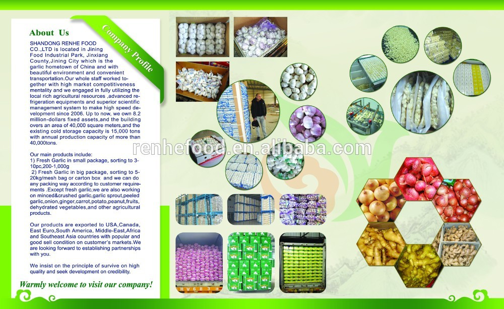 Fresh Garlic manufacturer from China