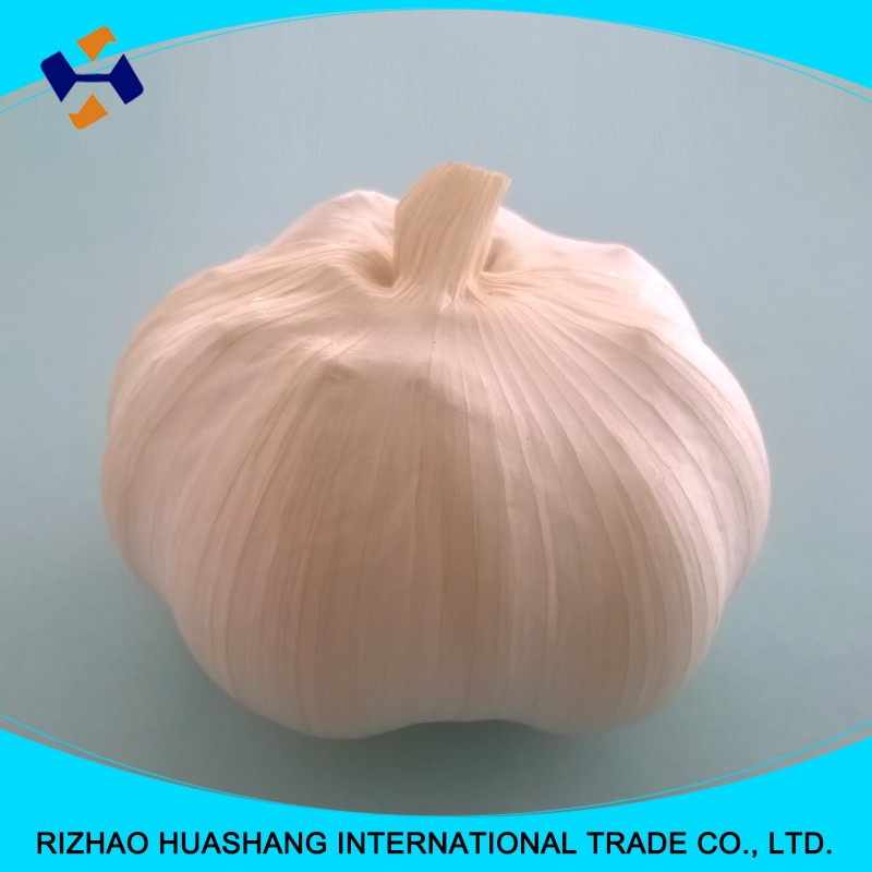 high quality white fresh garlic size4.5cm