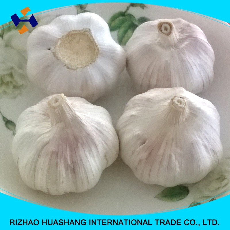 good quality normal white fresh garlic size6.0cm