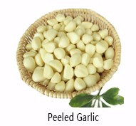 China fresh new crop red garlic