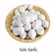 New fresh garlic red Manufacturers