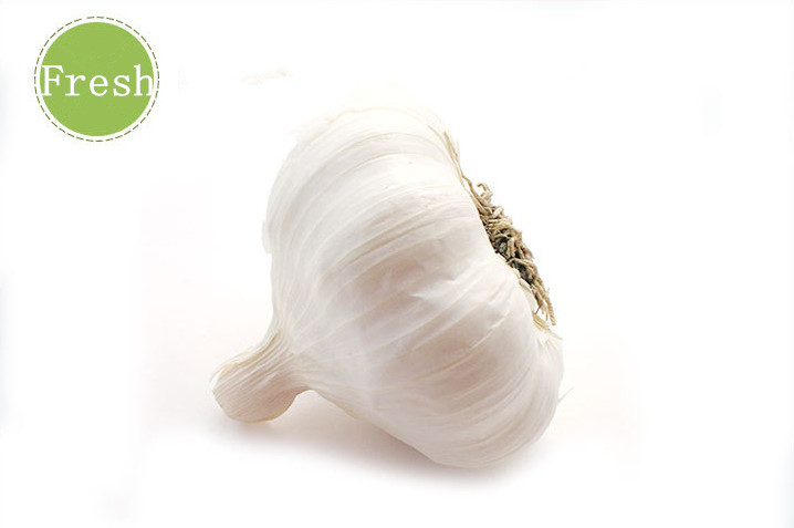 Organic fresh high quality garlic for sale in 2017