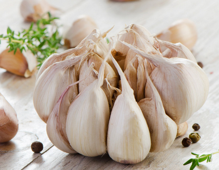 High quality fresh white garlic from China
