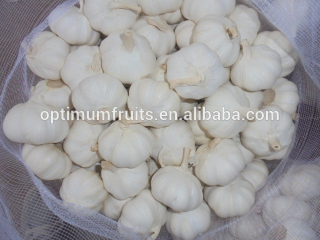 Bulk Jinxiang garlic for sale white garlic price