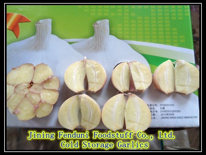 Chinese fresh peeled garlic, vacuum packed peeled garlic cloves