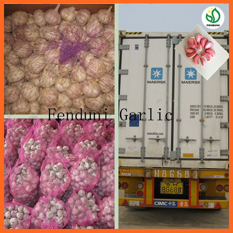 2017 Natural garlic 50mm with high quality and best price