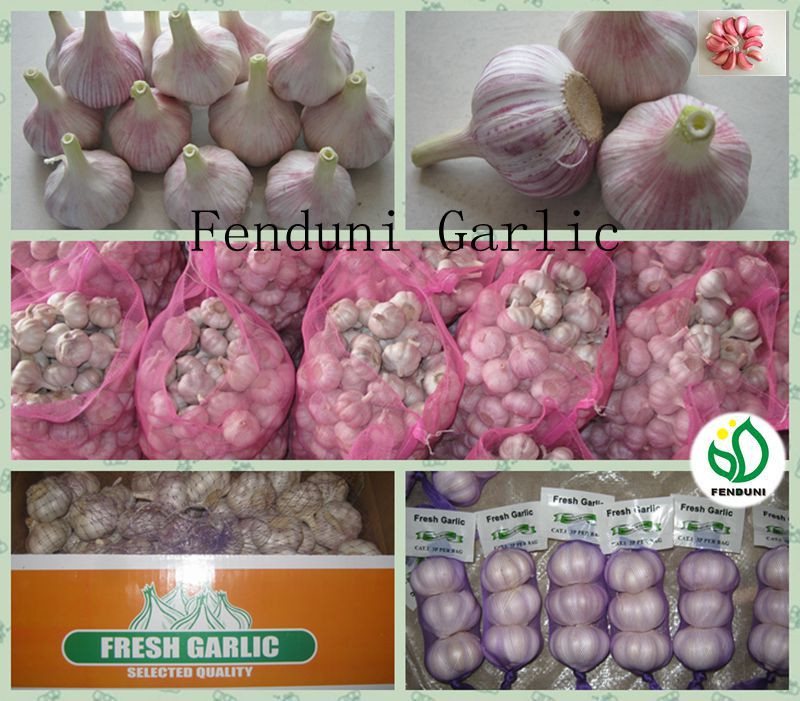 fresh chinese 3p pure white garlic in hot sale new crop 2017