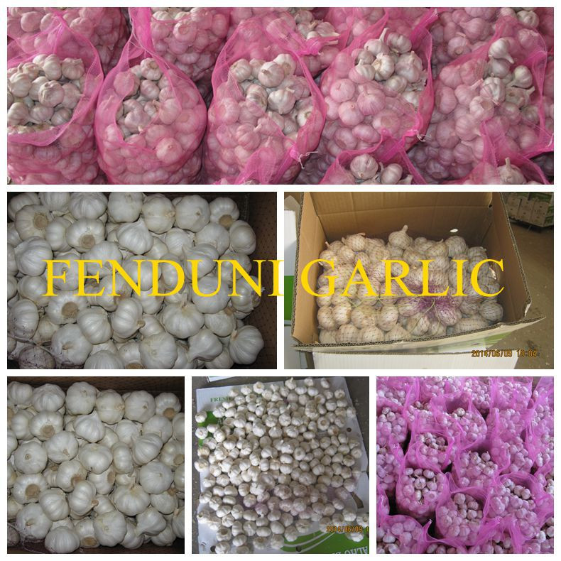 China White Fresh Garlic Small Packaging 6p/5p/4p/3p/2p/1p garlic