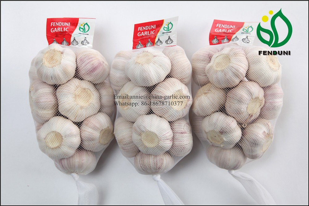 Chinese 2017 Fresh Garlic Price - Supply all year around