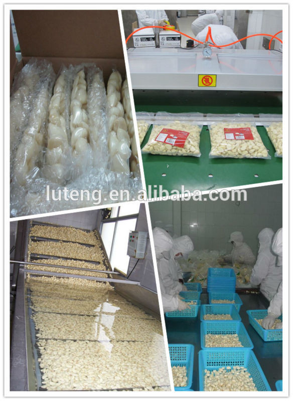 2014 Chinese vacuum packed fresh peeled garlic cloves