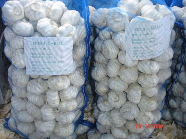 jinxiang garlic