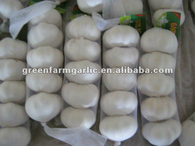 2014 chinese fresh garlic