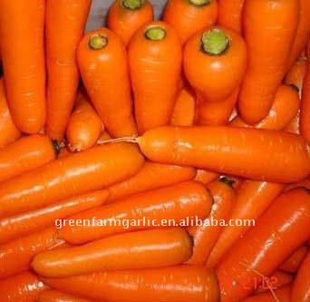 new fresh carrot 2017 price