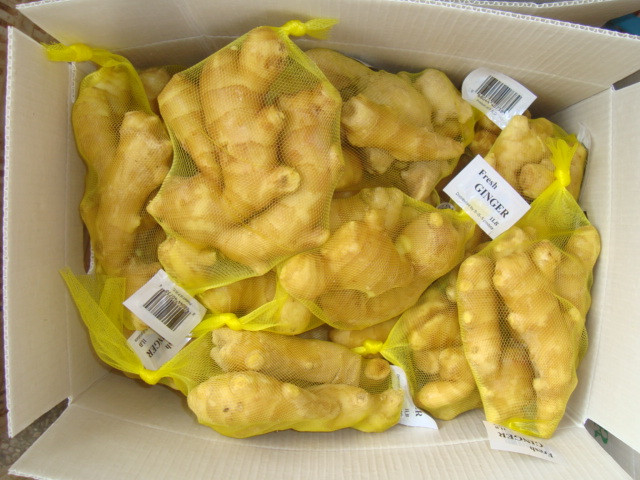 Competitive Price Wholesale New Young Ginger