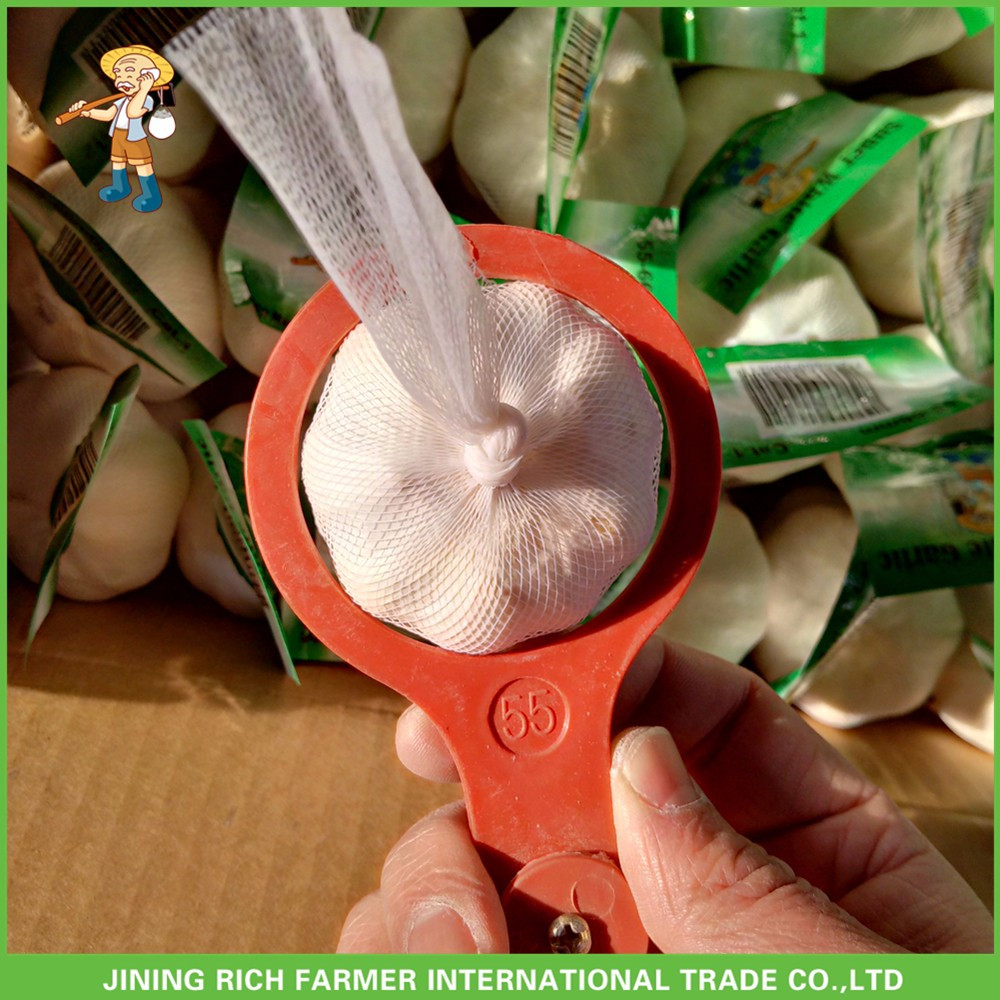High Quality Fresh Pure White Garlic5.0 -5.5 cm In 1KG Mesh Bag In 10kg Carton For Barbados