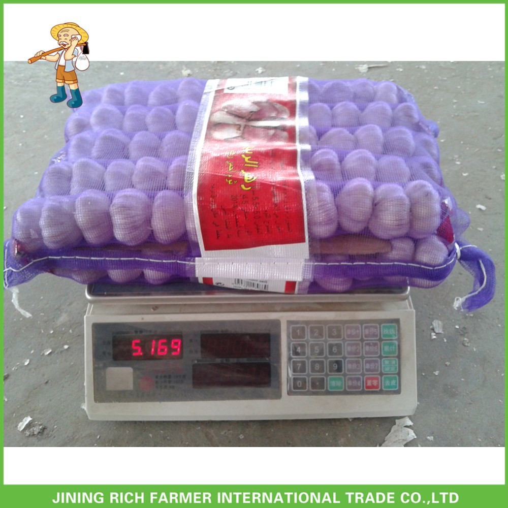 Best Price Fresh Normal White Garlic 5.0CM In 8 kg Mesh Bag For Qatar