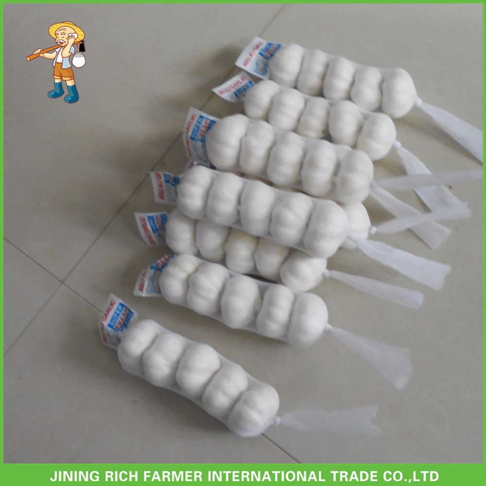 Hot Sale Fresh Normal White Garlic 5.0 cm /5p In 4 Mesh Bag For Jordan