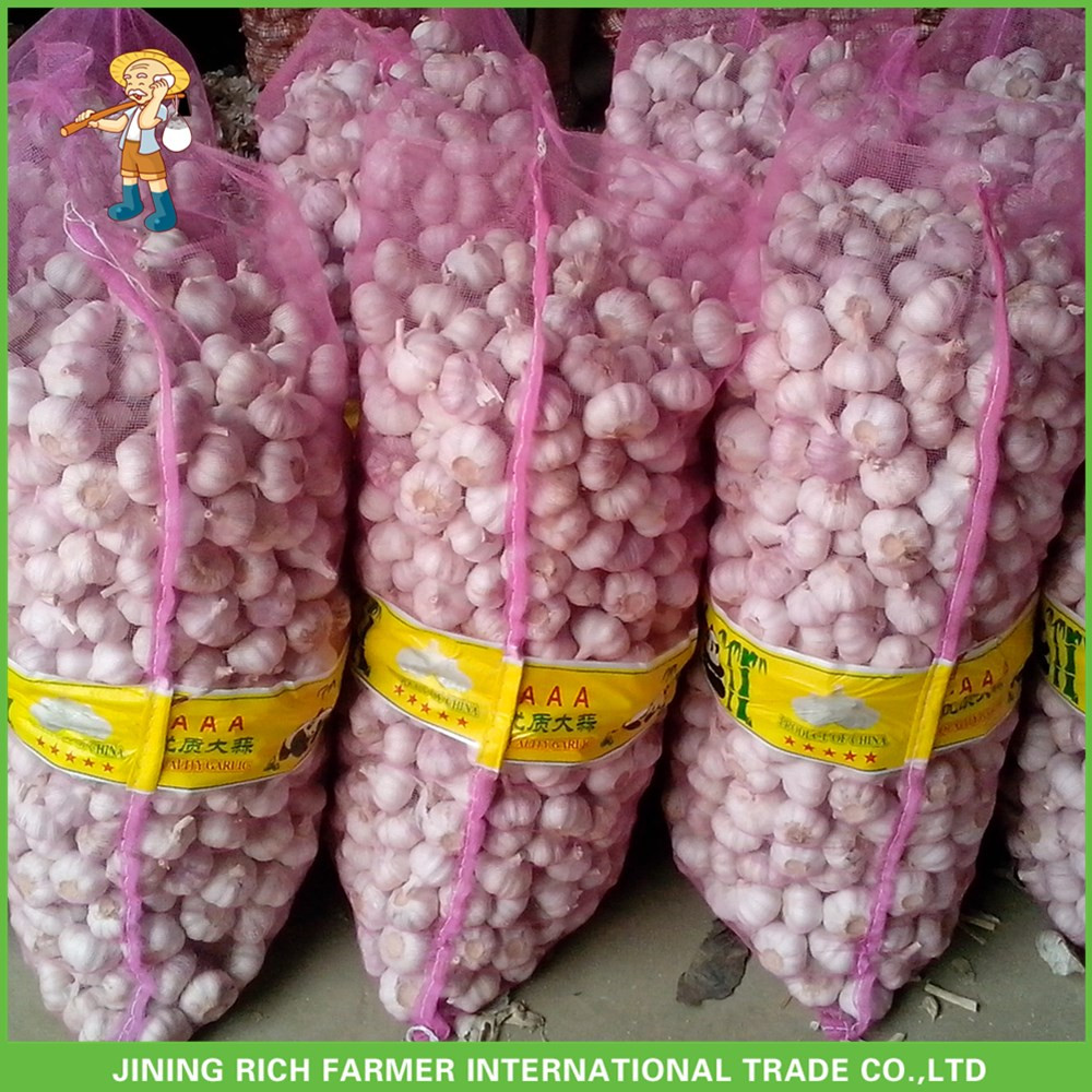 Hot Sale Fresh Normal White Garlic 5.0 cm /5p In 4 Mesh Bag For Jordan