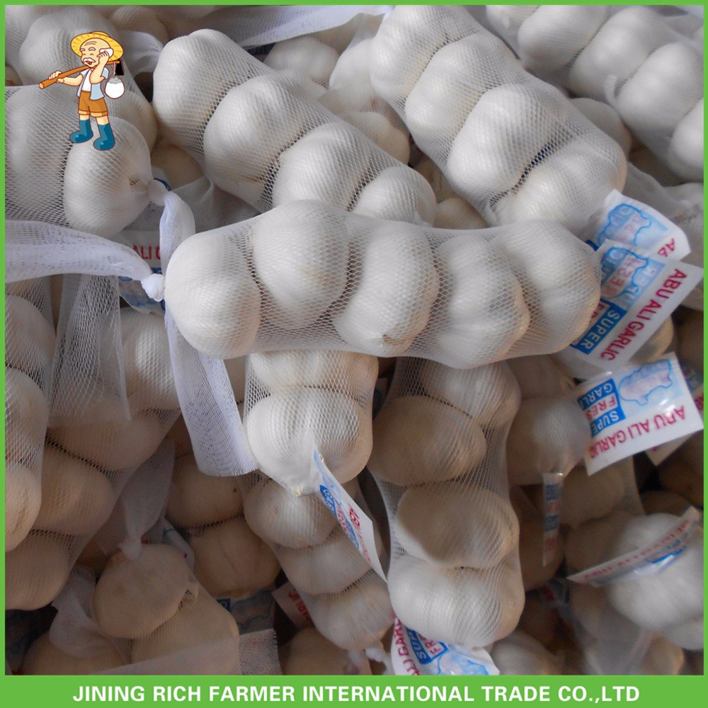 Hot Sale Top Quality New Crop Fresh Pure White Garlic 5.0 cm In 10KG Carton For Tunisia