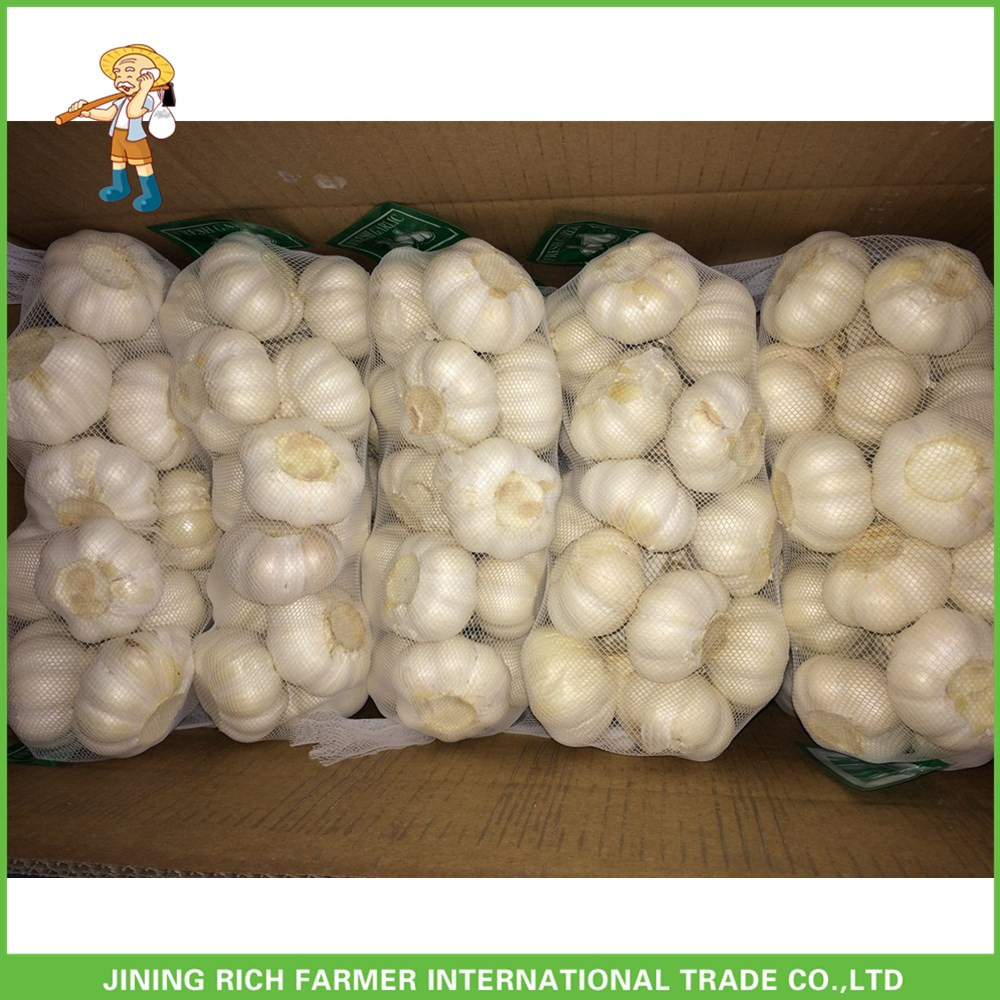 New Crop Fresh Pure White Garlic 5.0 cm In 8kg Mesh Bag For Kuwait Cheapest Price