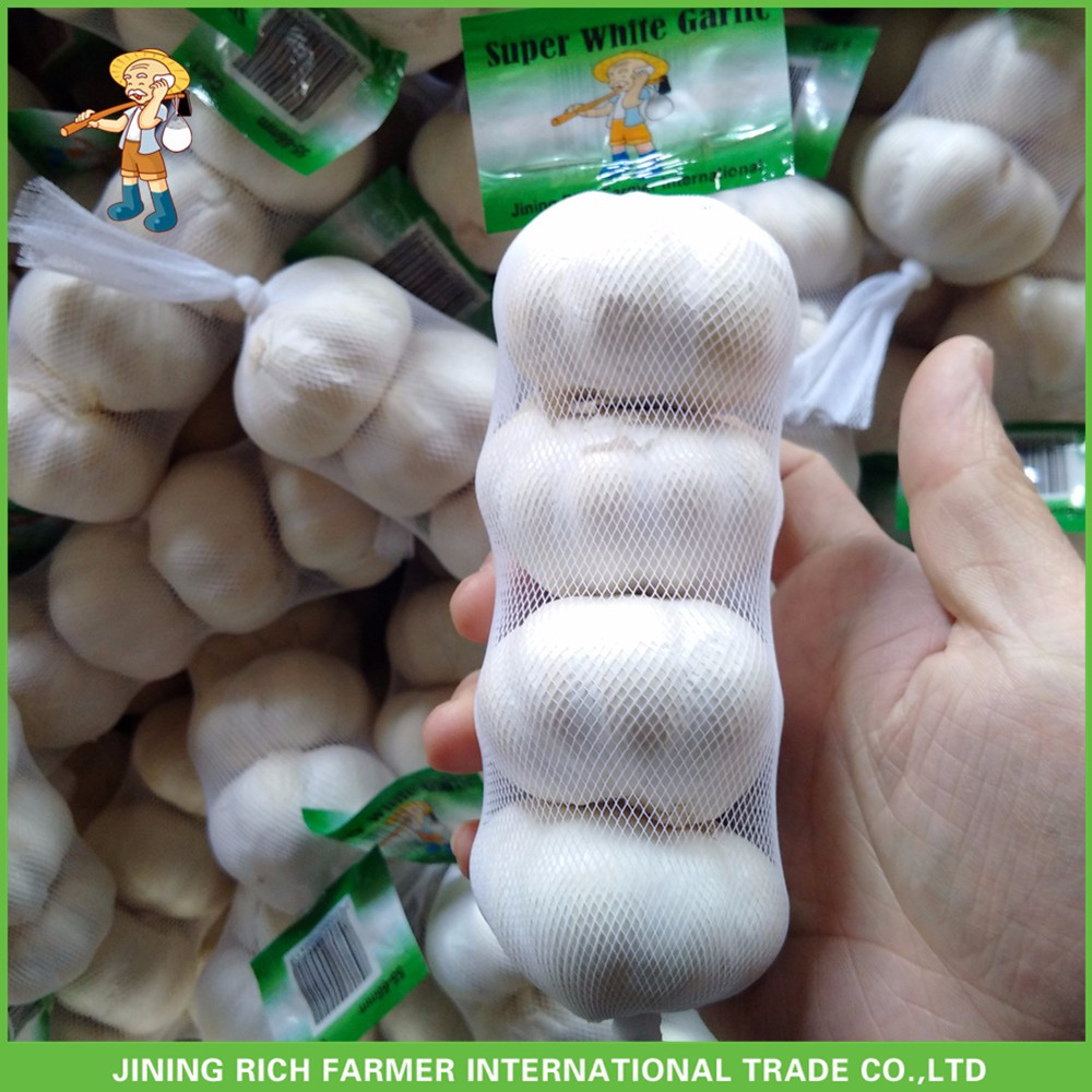 New Crop Fresh Pure White Garlic 5.0 cm In 8kg Mesh Bag For Kuwait Cheapest Price