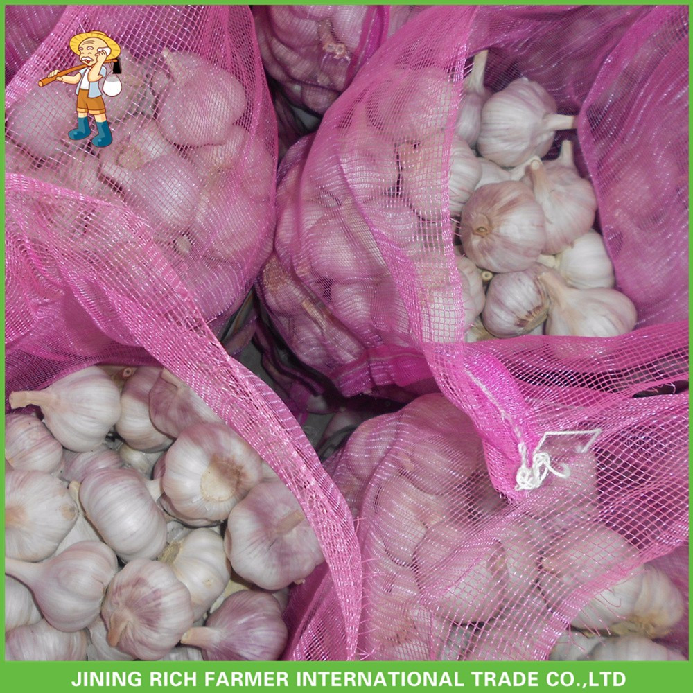 Top Quality And Best Price Fresh Normal White Garlic 5.0CM Mesh Bag In Carton