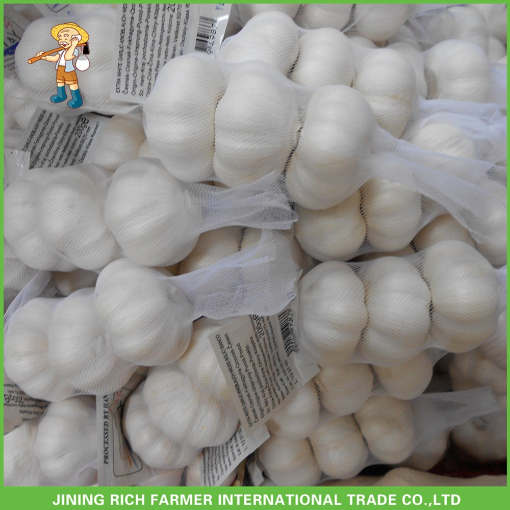 Top Quality And Best Price Fresh Normal White Garlic 5.0CM Mesh Bag In Carton