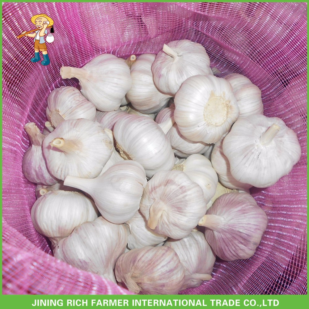 Top Quality And Best Price Fresh Normal White Garlic 5.0CM Mesh Bag In Carton