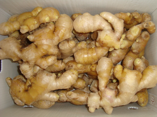 Buy Fresh Young Ginger 200g Up,10kg Plastic Carton