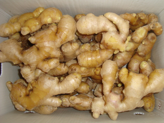 150g+ Fresh Ginger With Low Price