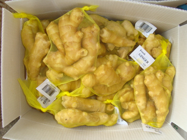 High Quality 150g Fresh Ginger In 6kg Pvc Carton For Dubai