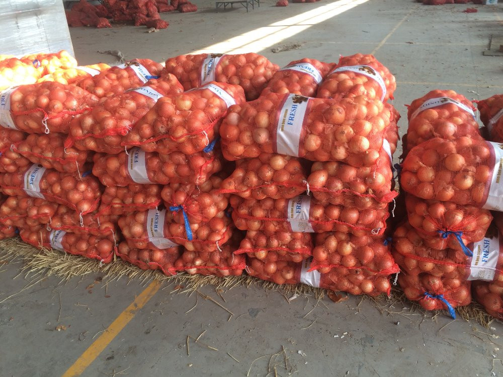 High Quality Fresh Onion of 5-7cm Size Supplier and Exporter