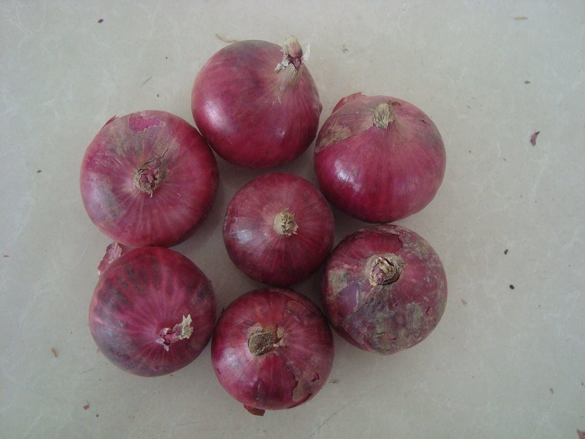 Chinese New Crop Fresh Red Onion