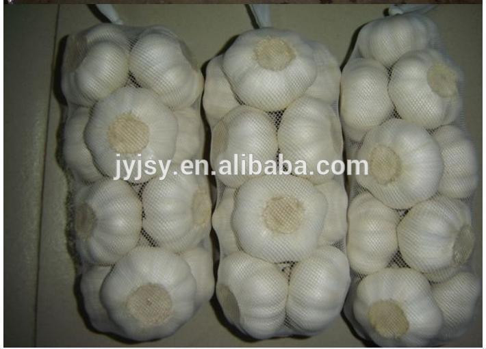 fresh garlic from china 2014 crop
