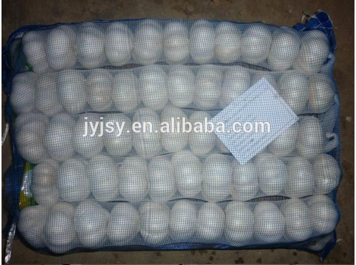 garlic of china superior quality and good price