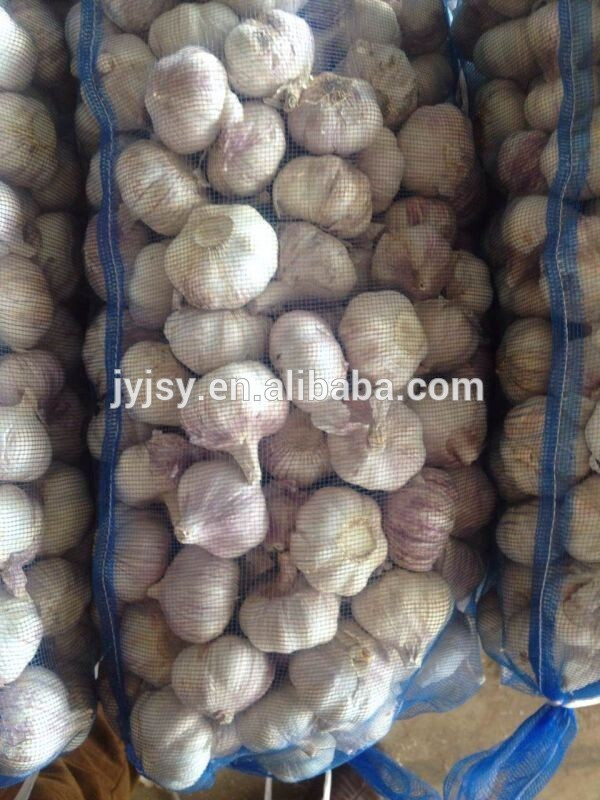 new chinese natural fresh garlic