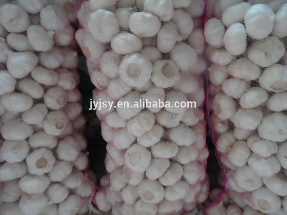 China 2014 Jinxiang Fresh Garlic,garlic Factory