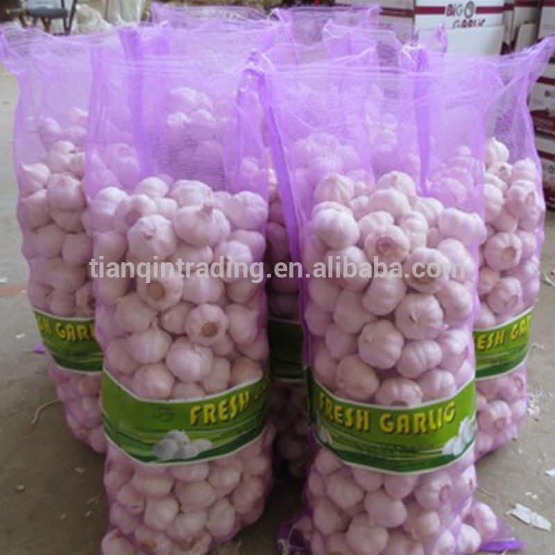 Red Garlic 10kg carton for Brazi market