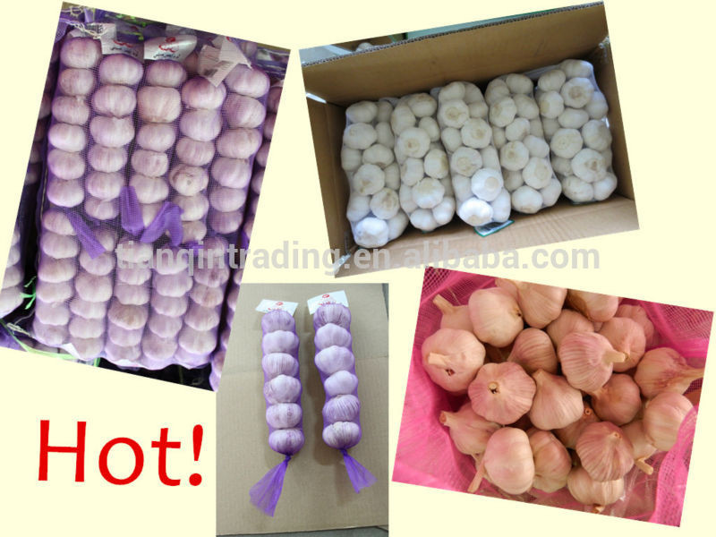 China Cheap Garlic in 10kg/bag or 20kg/bag