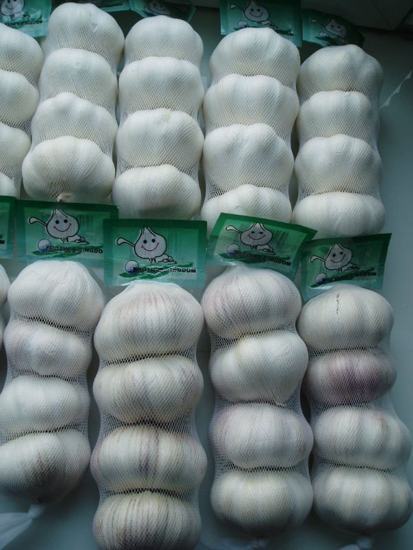 sell white garlic(5.0cm 3pcs mesh bag)